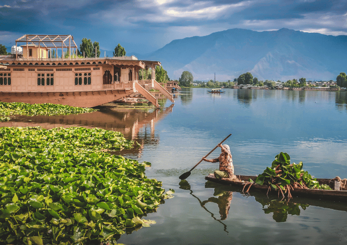 Kashmir | Family Express | Houseboat Delights